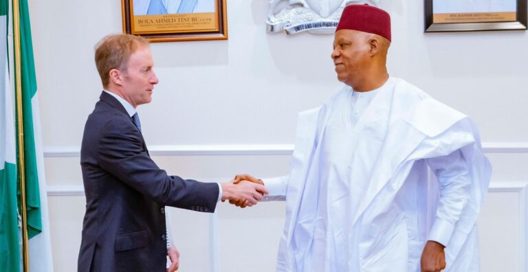 Nigeria seeks $25bn for undersea gas pipeline to Europe