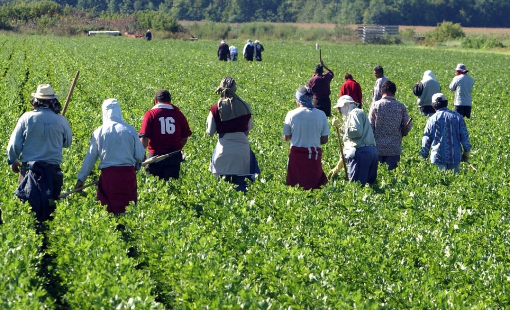 Morocco: AfDB commits €100m to support inclusive agriculture | APAnews ...