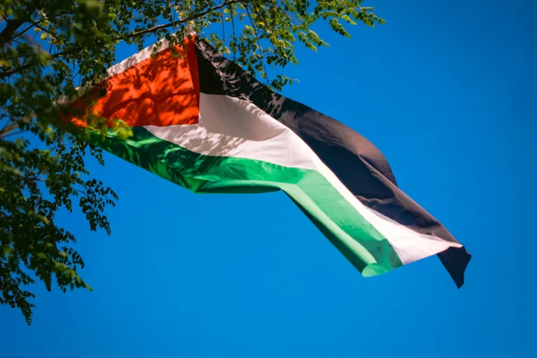 AU welcomes France’s intention to recognise State of Palestine