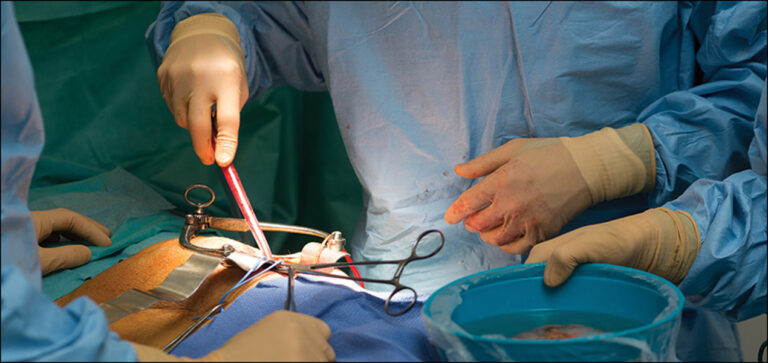Kenya’s MPs probe alleged kidney harvesting syndicate