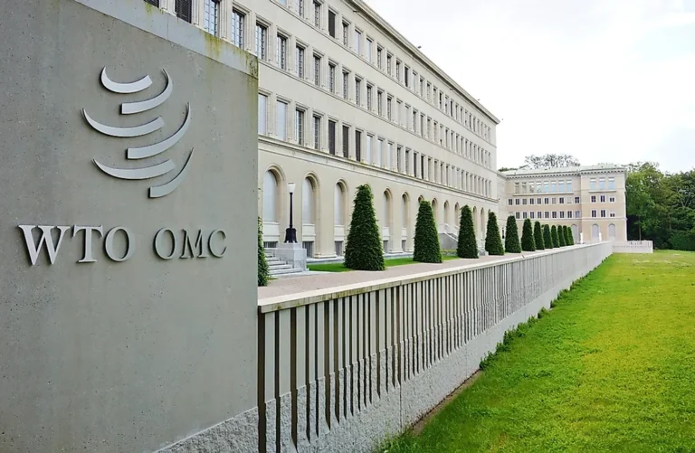146 Nigerian women to receive $50m WTO Digital Trade Grants
