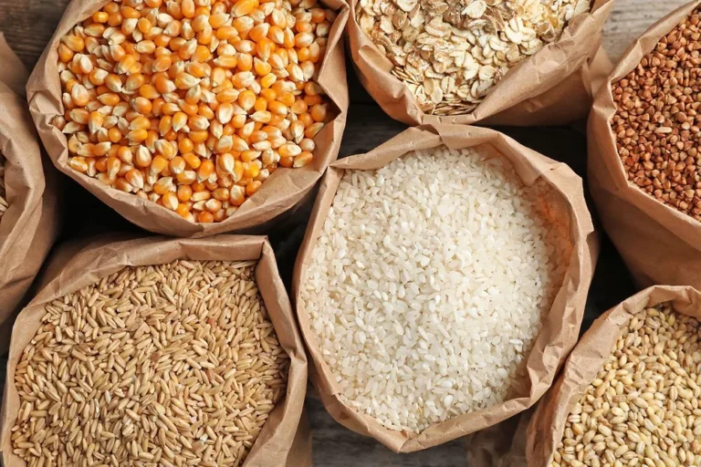 Algeria grain sector faces growing reliance on imports
