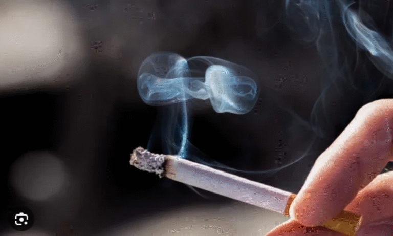 tobacco tunisia Alternatives urged as Tunisia anti-tobacco laws ineffective | APAnews