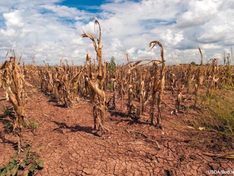 Mozambique gets $2m AfDB drought insurance boost
