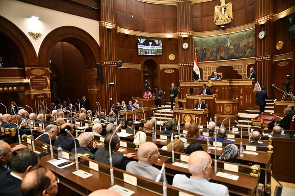 داليا الأتربي تستمر في لجنة التعليم والبحث العلمي بالشيوخ