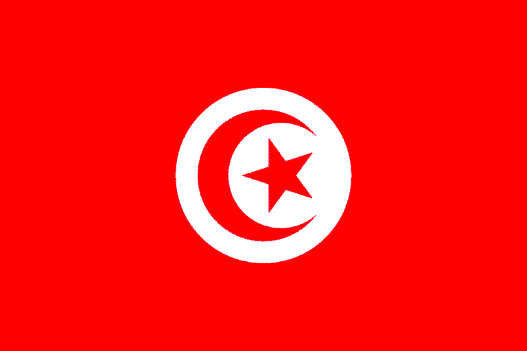 Tunisia engineer exodus tops 45,000 (Alert)