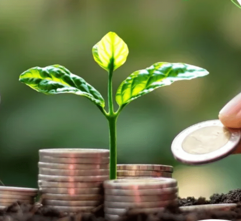 Africa’s climate goals threatened by funding gap