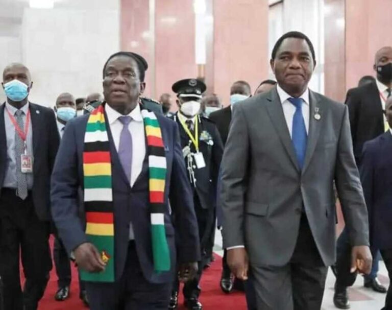 Mnangagwa Hichilema Co Chair Zimbabwe Zambia Bnc Apanews African