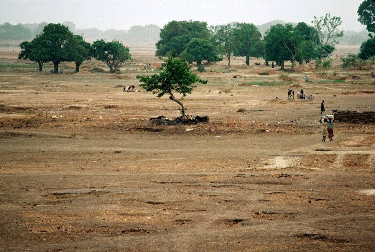 AfDB grants $14 million for Sahel climate resilience