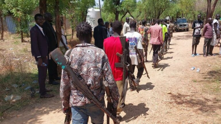 UNHCR wary of insecurity in Ethiopia’s Gambella region