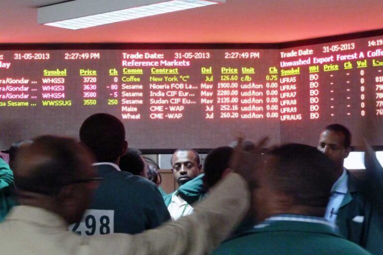 Ethiopia’s year-on-year inflation falls to 10.9 percent in November