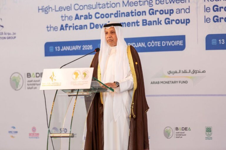 AfDB, Arab stakeholders launch co-financing, investment partnership