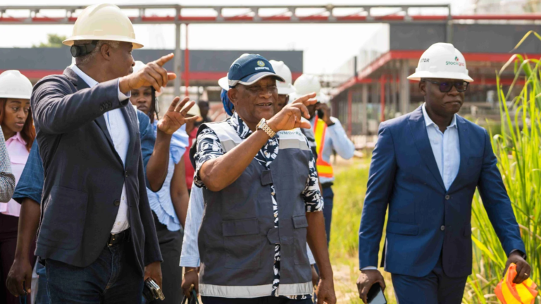Nigerian Petroleum Authority plans to accelerate gas distribution for industrialisation