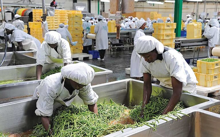 Agro Summit seeks Nigeria’s food system industrialisation
