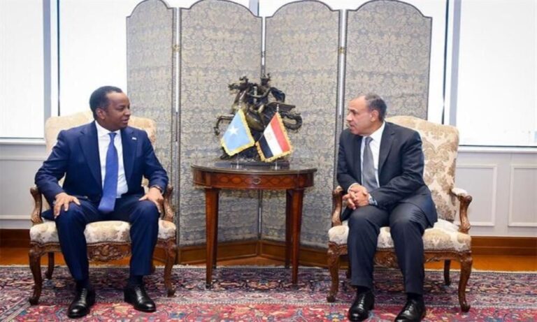 Egypt, Somalia seek policy alignment as regional tensions brew