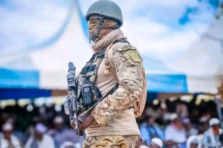 al-Shabaab plot on Nairobi foiled – Kenyan intelligence