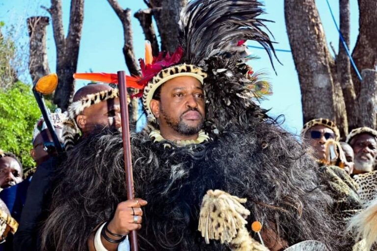 Zulu king’s remarks spark xenophobic violence fears