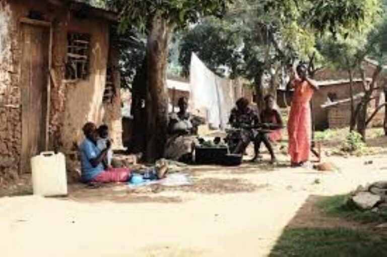 Residents wary as water snakes infest Ugandan town