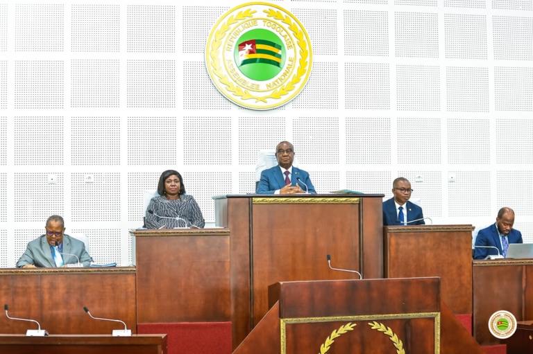 Togo passes law to tackle counterfeiting