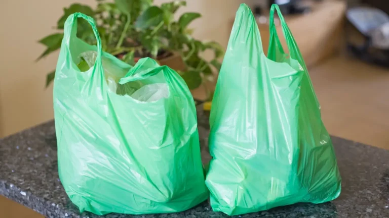 Ethiopia hands down first sentence after plastic bag ban