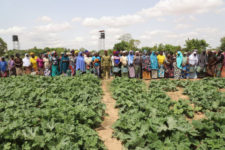 Burkina farming schemes restore hope for displaced families