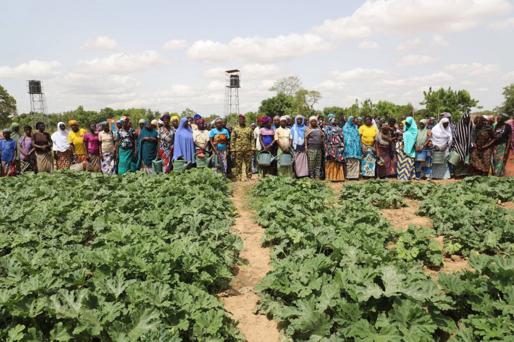 Burkina farming schemes restore hope for displaced families | APAnews ...