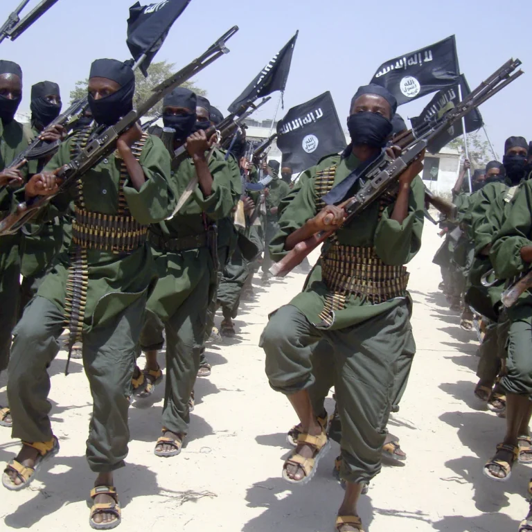 Somali counterterrorism: 11 al-Shabaab militants killed