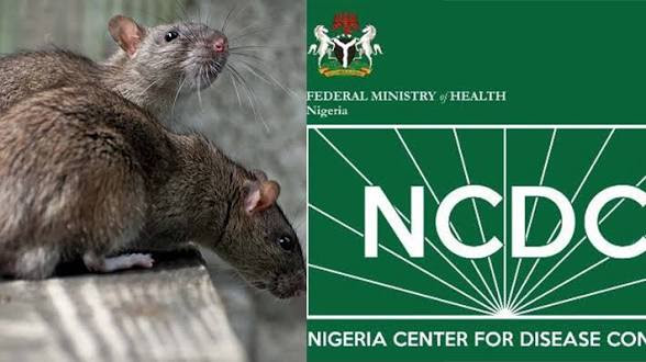 Nigeria records 229 deaths from Lassa fever – NCDC