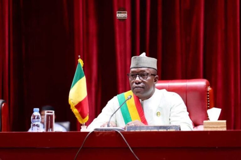 Mali’s transitional council overhauls security architecture