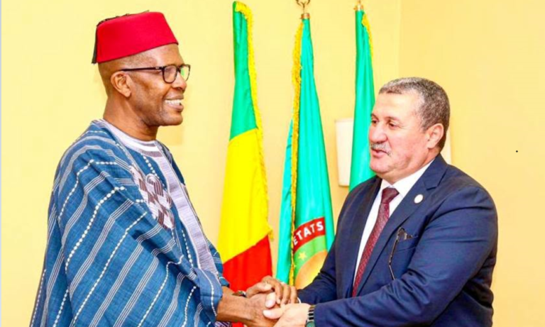 Libya, Mali deepen cooperation in tourism, handicrafts