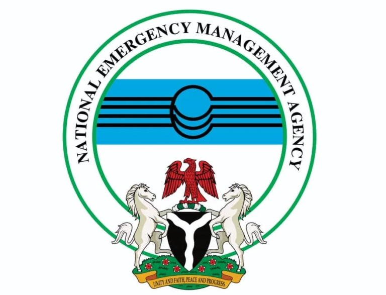 Agency receives 1,516 Nigerians voluntarily repatriated from South Africa