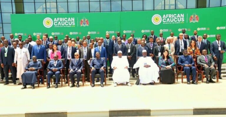 African caucus on financial reform opens in Gambia