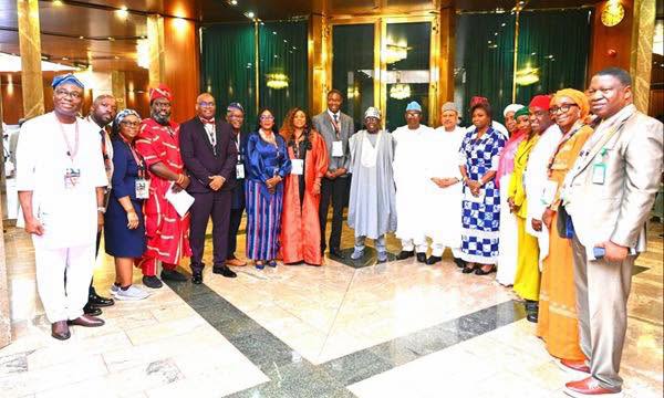 Tinubu urges diaspora doctors to support national development