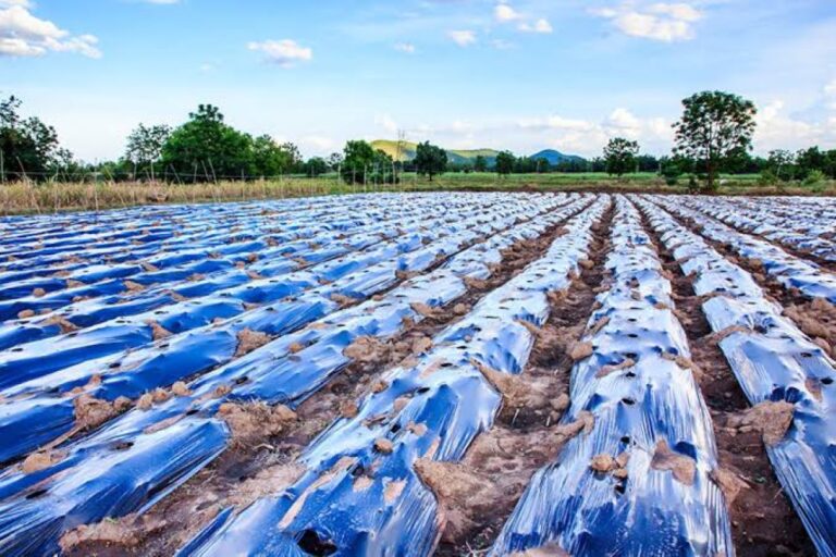 Africa deepens fight against agricultural plastic pollution