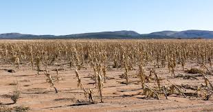 Africa brace for El Niño-caused weather anomalies this year, AU warns