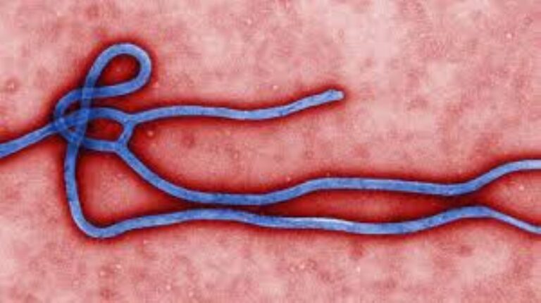 Ebola: Over 1,700 cases and 600 deaths reported in DRC