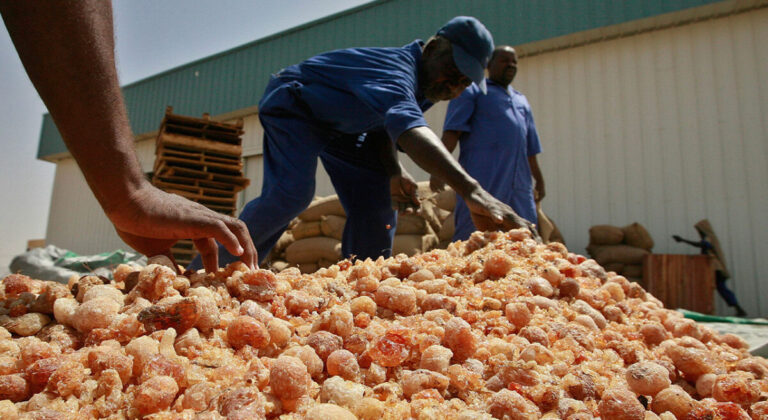 Gum arabic funding Sudan conflict – UN report