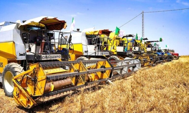 Algeria declares “historic” wheat self-sufficiency