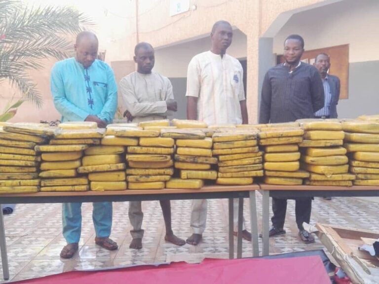 Sahel cocaine routes funding war economies – Study