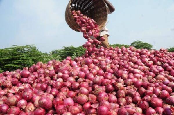 Nigerian traders halt exports to Ghana over onion dispute