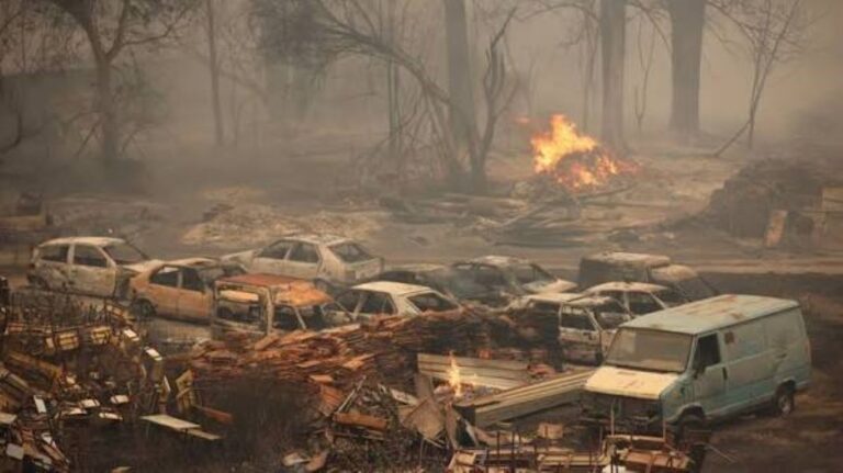 AUC in solidarity with Algeria following deadly fires