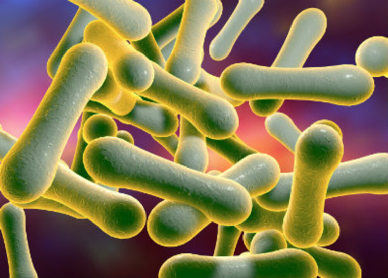 Diphtheria kills three in Kédougou, Senegal