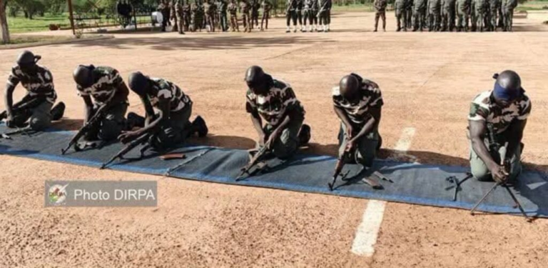 254 former combatants join Mali military
