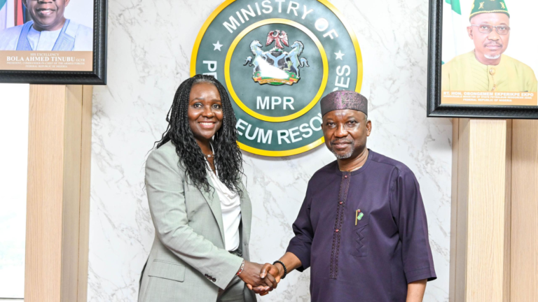 Nigerian Commission threatens to revoke unused gas flare site permits