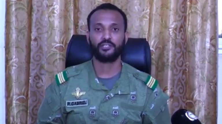 Niger crisis: Déby responds to claims of foreign intervention plans