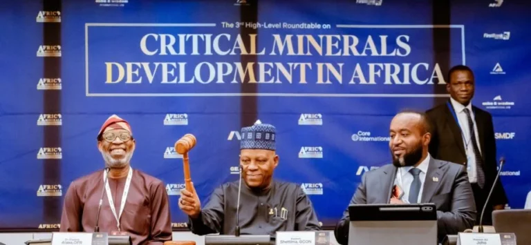 Nigeria demands end to Africa’s mineral resources exploitation