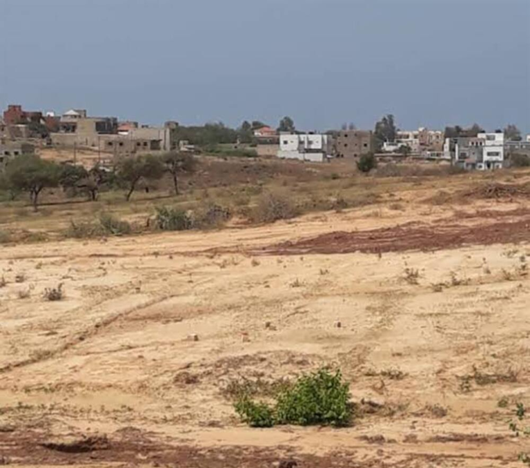 Mali: Land issues top complaints to Ombudsman
