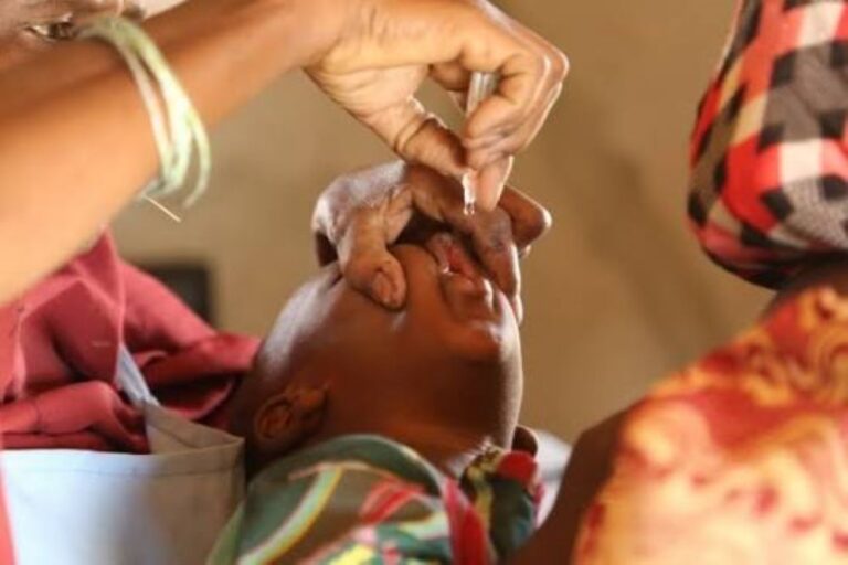 Nigeria and Niger coordinate vaccination across shared border