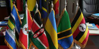 EAC members advance measures to strengthen e-commerce, digital trade
