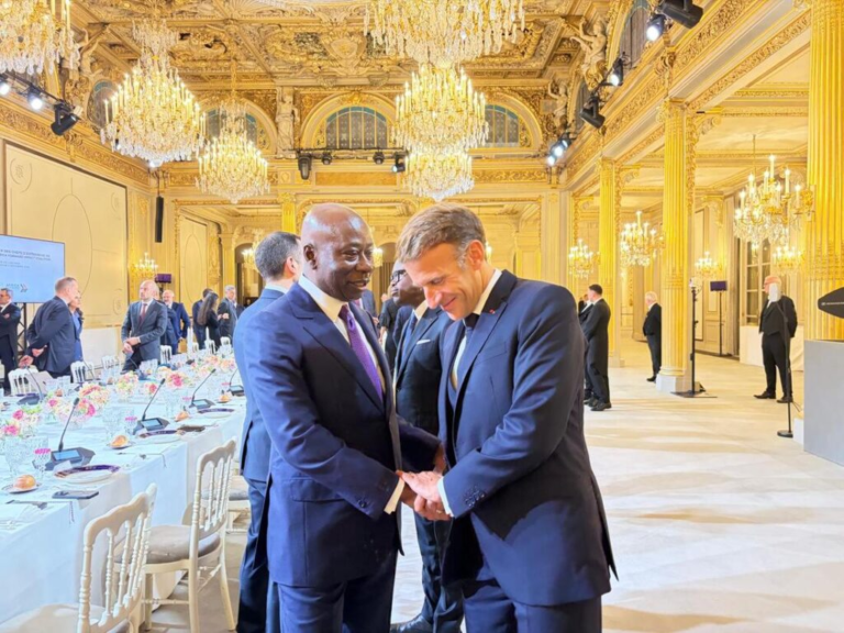 Macron hosts African leaders at Élysée for investment talks